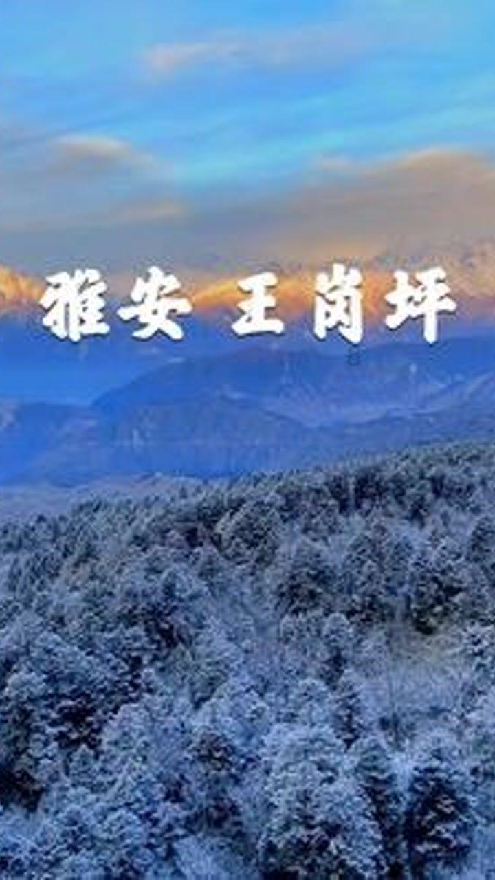 小伙遭遇刷单骗局多次转账,从民警口中得知被骗后嚎啕大哭