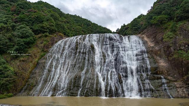 漂亮鹦鹉救援